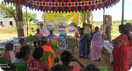 Information Sharing & Documentation