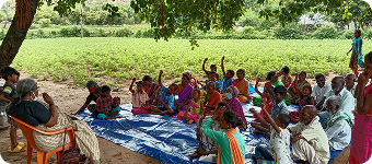 Establish Community-Managed Seed Banks