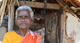 Elderly Care and Support